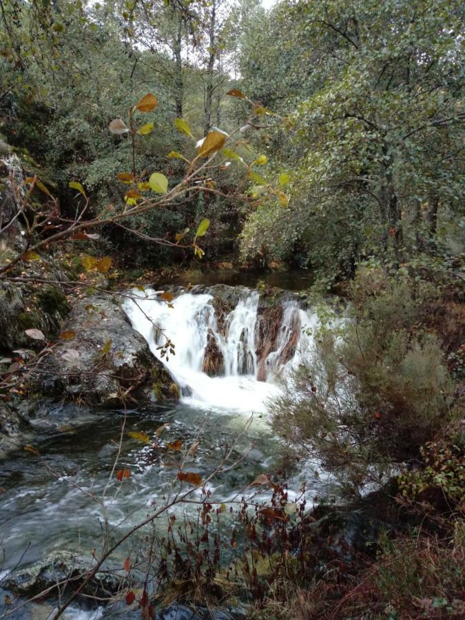 Casas Rurales Prunus Avium Cambron Dış mekan fotoğraf